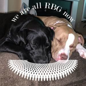 Meet your Posher, Becky